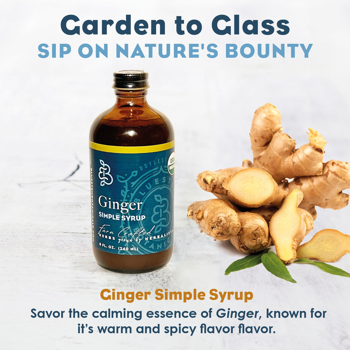 Bluestem Botanicals Organic Ginger Simple Syrup – 8 oz Cocktail & Mocktail Mixer