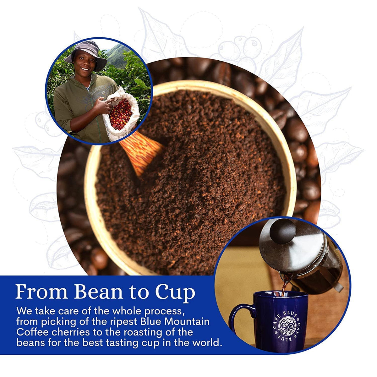 Cafe Blue 100% Jamaican Blue Mountain Ground Coffee – JACRA-Certified Medium Roast, Low Acidity, Smooth Chocolate Notes, 16oz