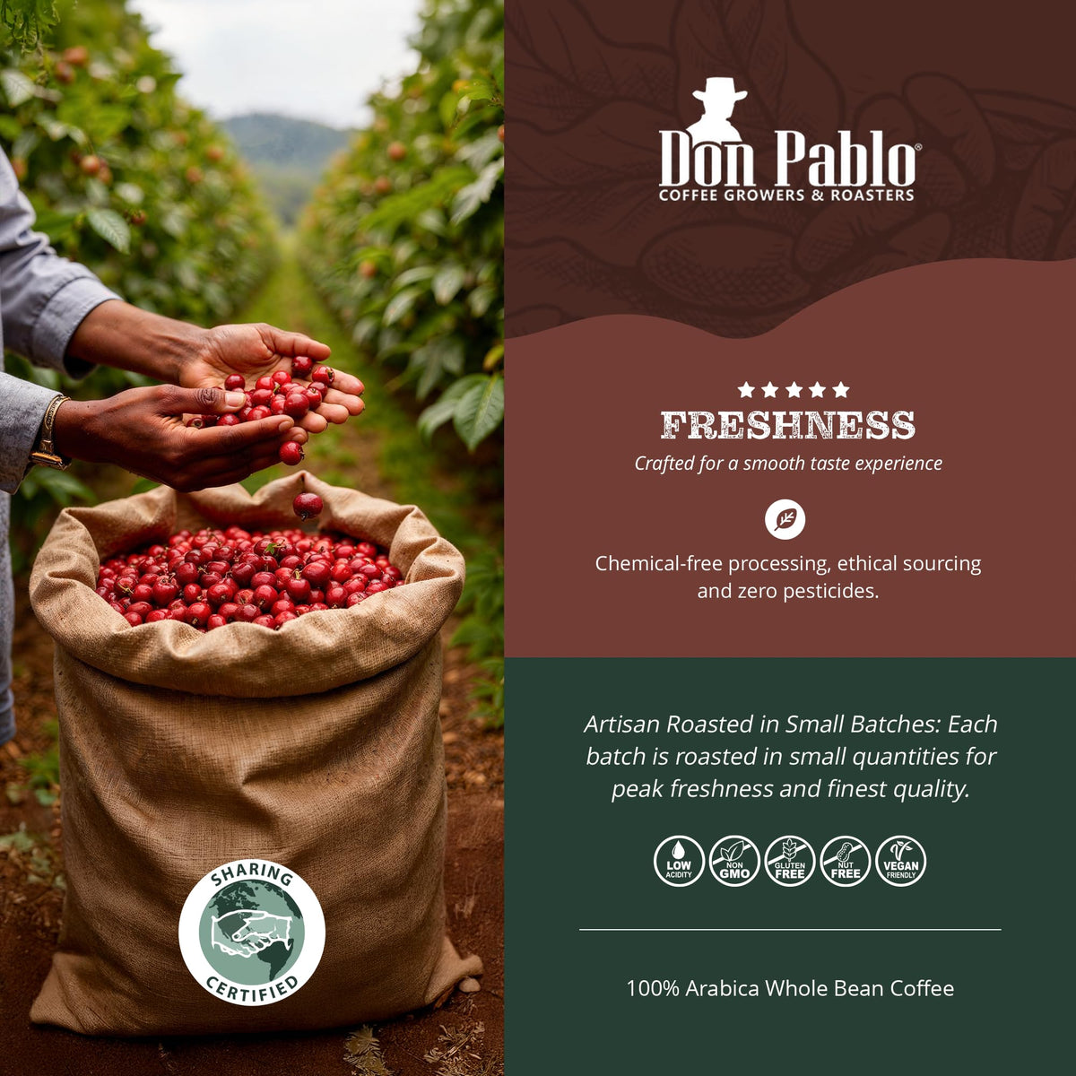 Cafe Don Pablo Signature Blend – Medium-Dark Roast, 100% Arabica, Low Acidity, 2 lb Whole Bean