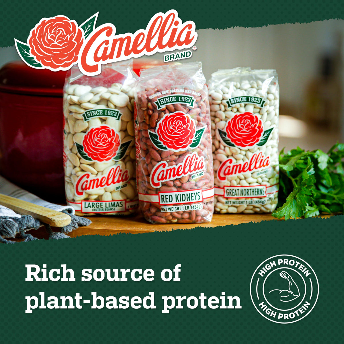 Camellia Brand Dried Cannellini Beans - Premium White Kidney Beans, Non-GMO, Gluten-Free, 1 lb (Pack of 6)