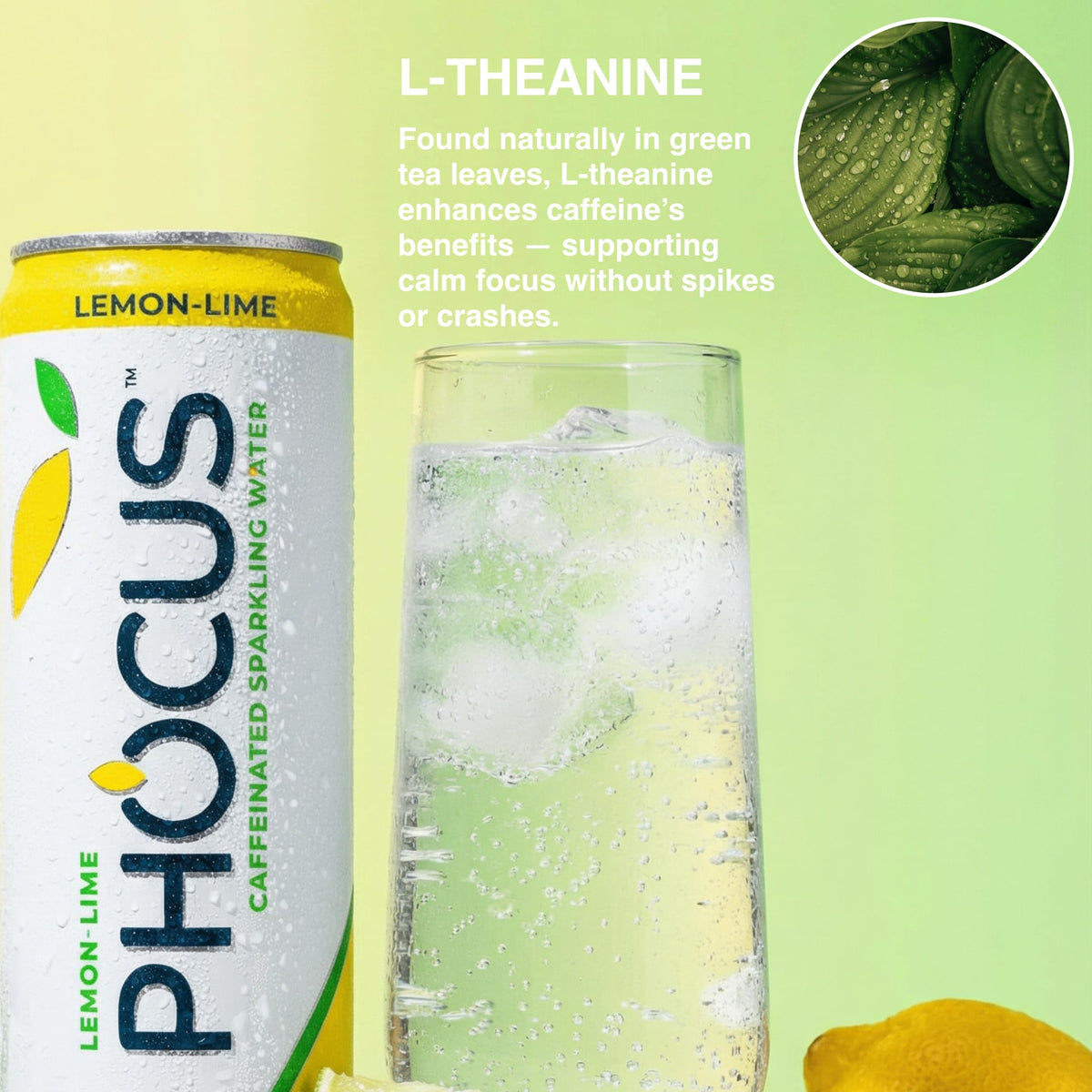 Phocus Caffeinated Sparkling Water – Lemon Lime (75mg Caffeine + L-Theanine) | 12-Pack | CLEAR CUT PHOCUS