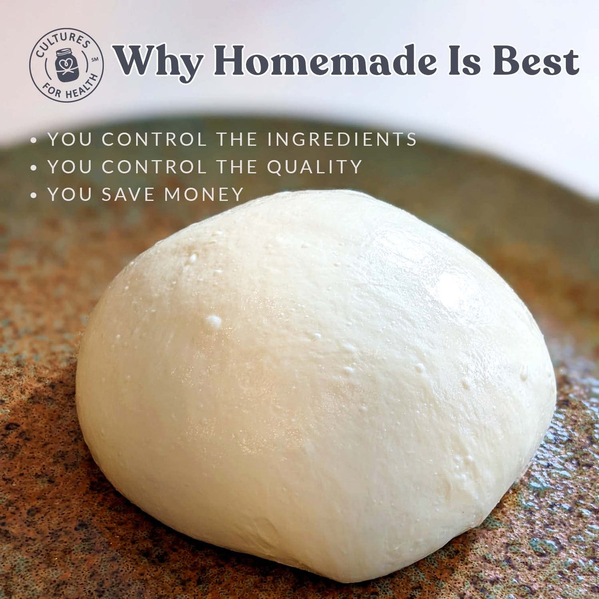 Mozzarella & Ricotta Cheese Making Kit | 5-Piece DIY Set | Cultures For Health