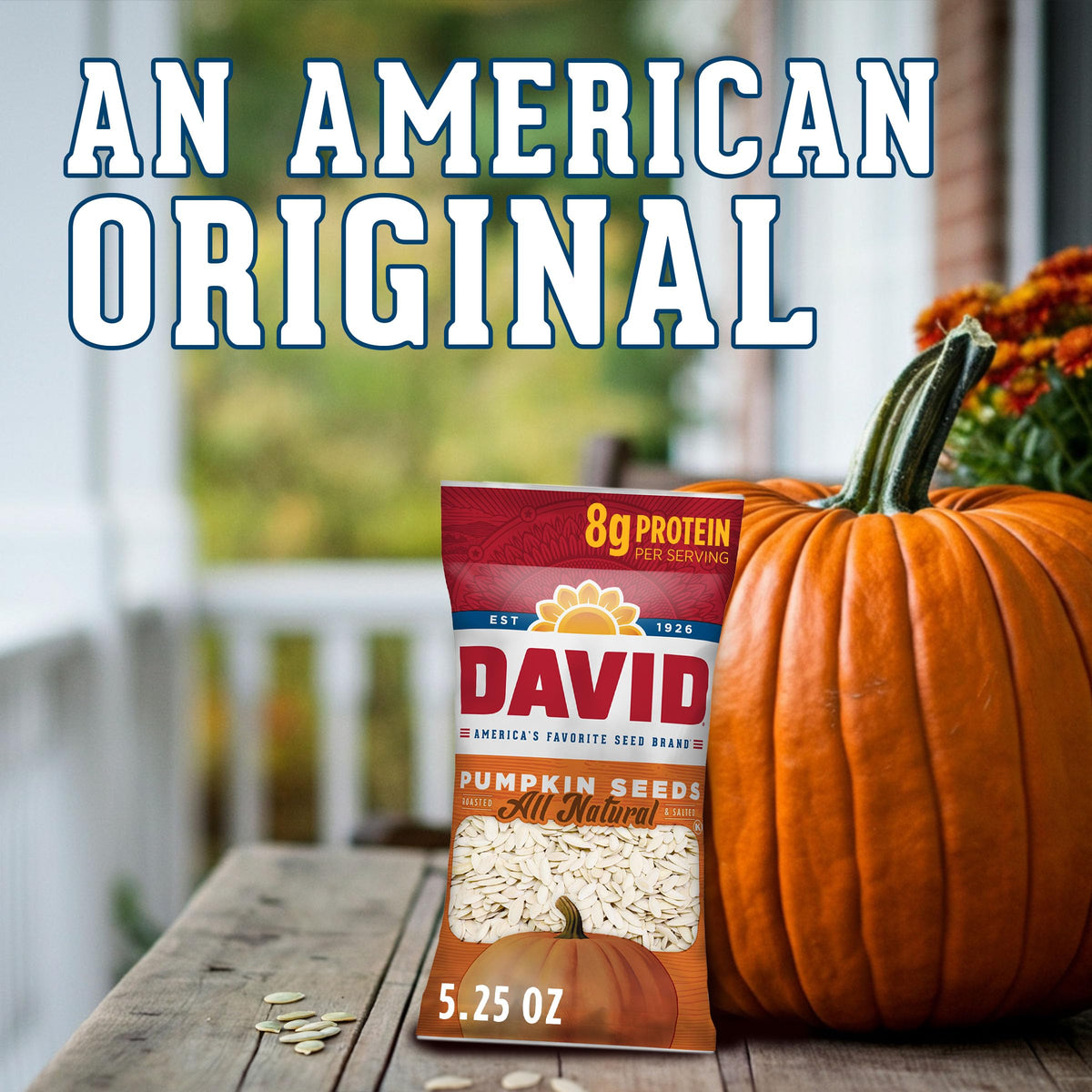 DAVID All Natural Pumpkin Seeds – 12 Pack, 2.25 oz Each | Crunchy, Protein-Rich Snack