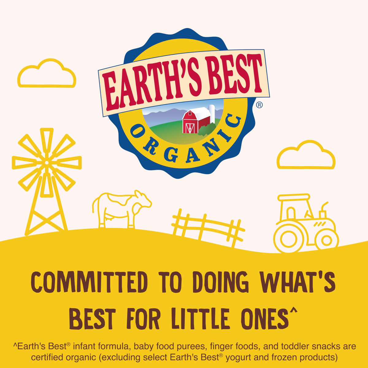 Earth's Best Organic Letter of the Day Cookies for Toddlers – Oatmeal Cinnamon, 5.3 oz Box (Pack of 6)