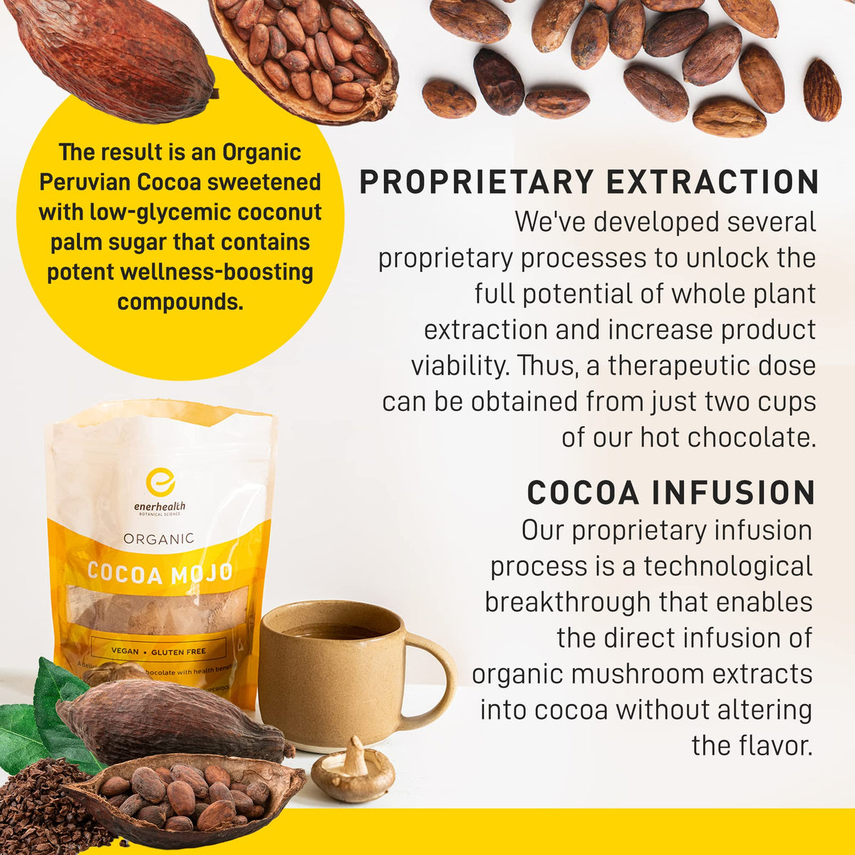 EnerHealth Cocoa Mojo – Organic Peruvian Cocoa Mix with 6 Mushroom Extracts (12 oz)