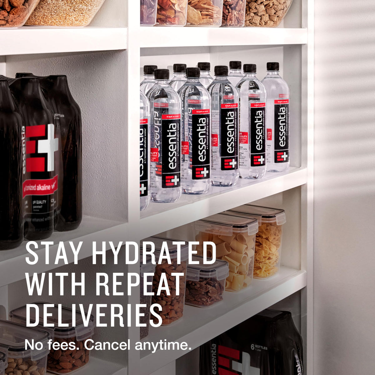 Essentia Water – 99.9% Pure Ionized Alkaline Water, pH 9.5+, Electrolytes, 42.3 Fl Oz (12-Pack)