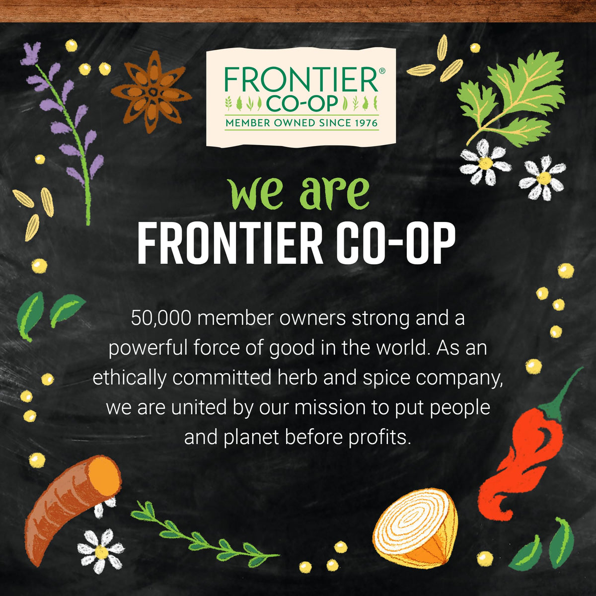 Frontier Co-op Organic Vanilla Flavoring, 4 fl oz – For Baking & Beverages