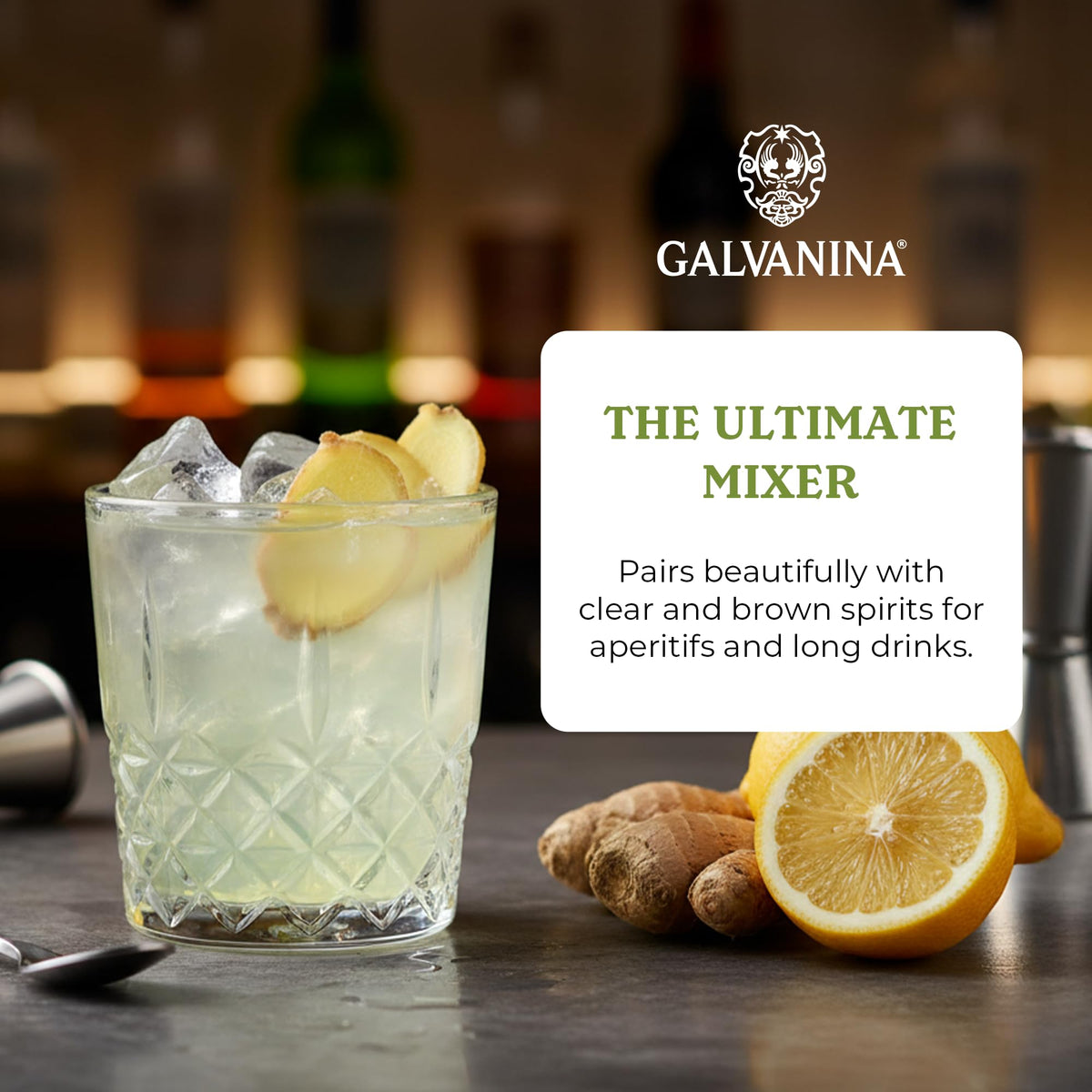 Galvanina Ginger Ale – Premium Organic Italian Sparkling Soda (12 fl oz x6)