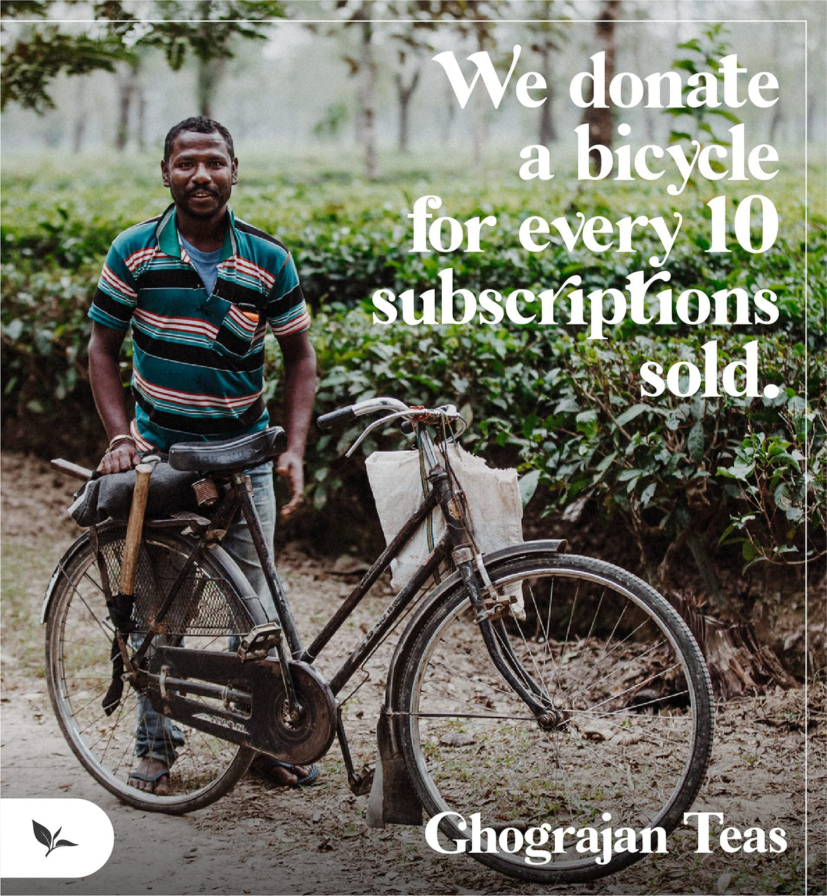 Ghograjan Tea Estate English Breakfast Loose Leaf Tea – Strong Full-Bodied Assam, 1 lb Pouch, Farm2Cup from 5th-Generation Tea Farm