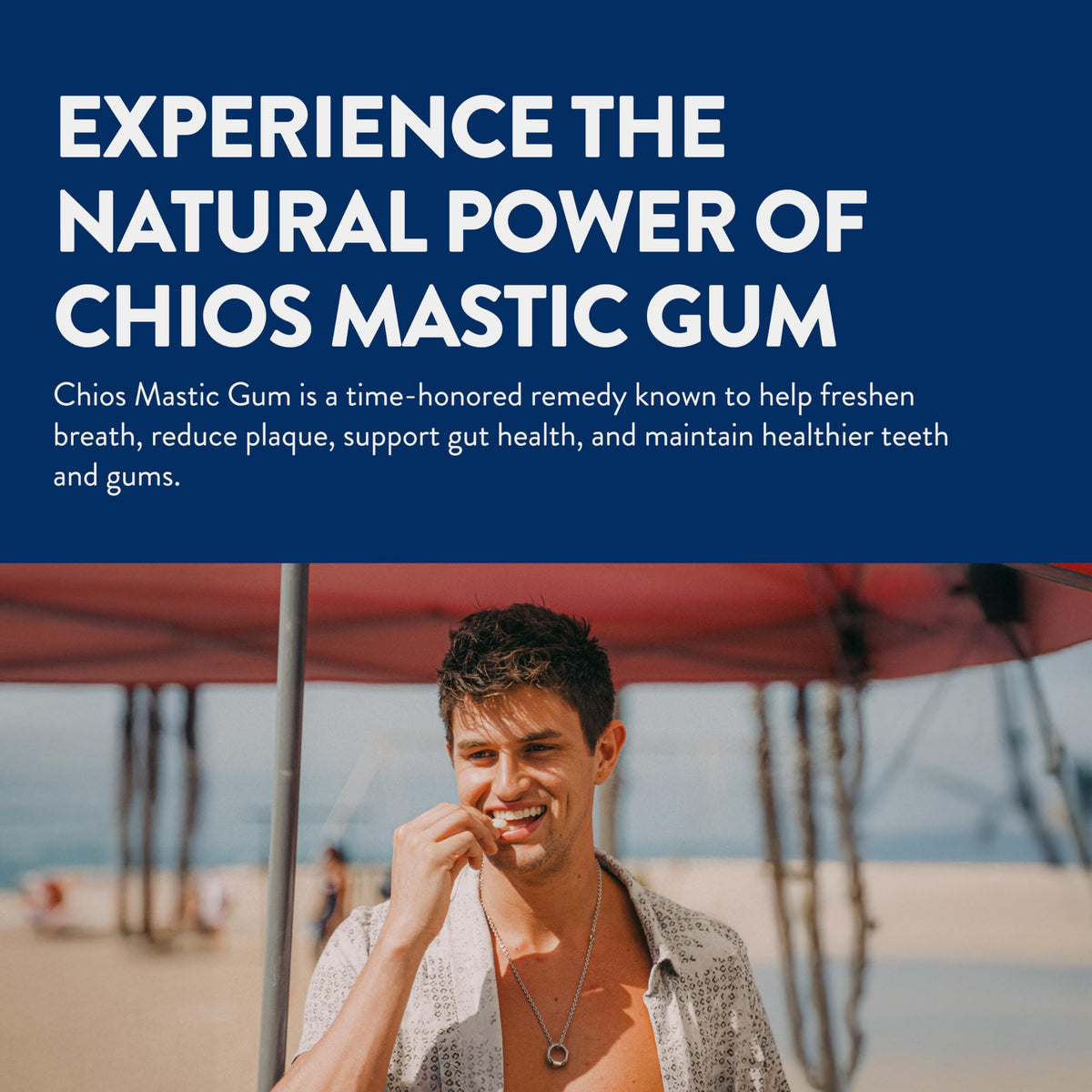 Greco Gum Mastic Droplets – Travel Size, Piney Flavor, Plastic-Free, Sugar-Free