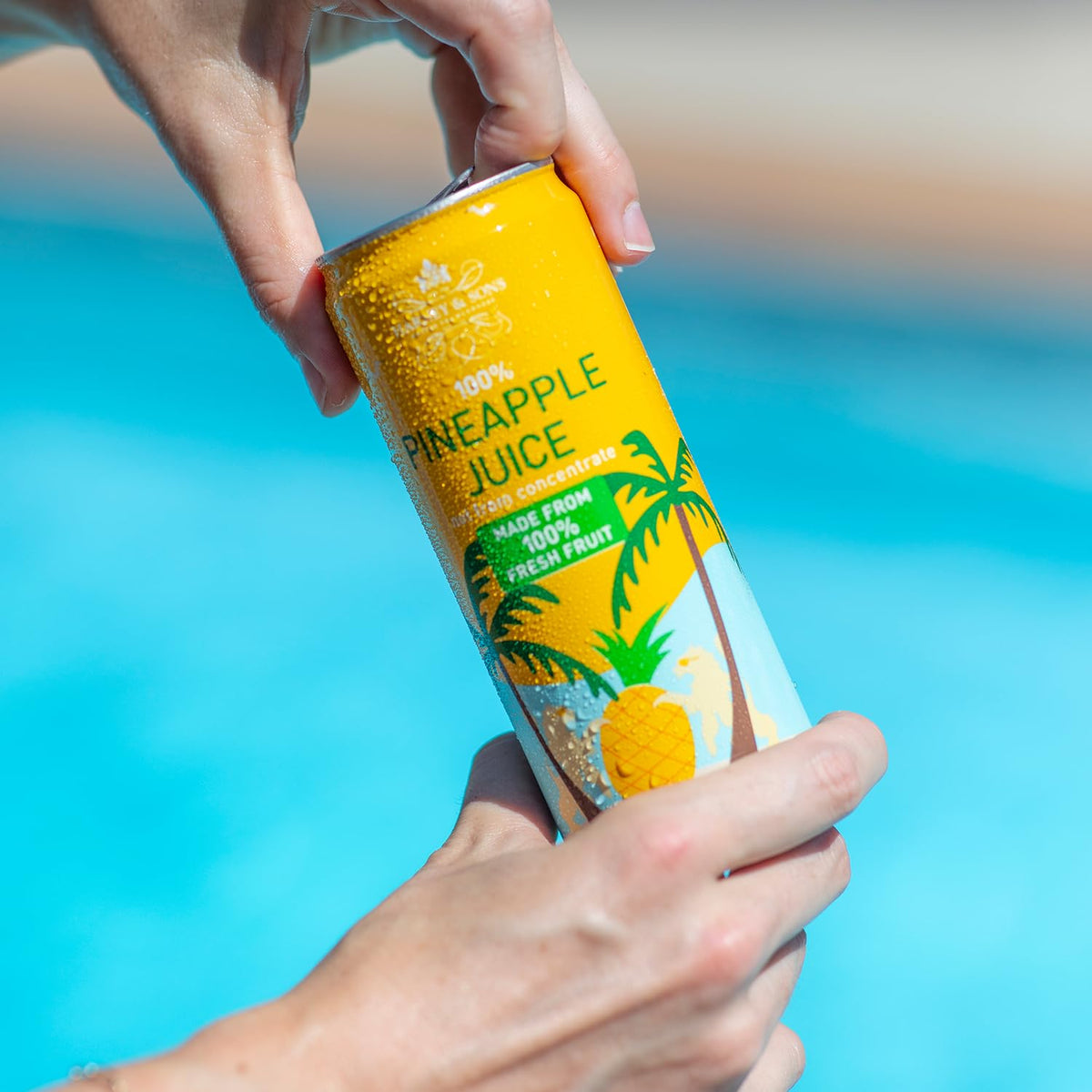 Harney & Sons Pineapple Juice, 10.8 oz Can — 12-Pack (Not From Concentrate)