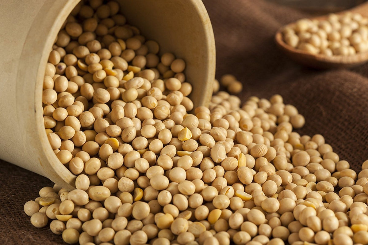 Hunza Organic Soybeans (5 lbs) – Plant-Based Protein, USDA Organic, Non-GMO