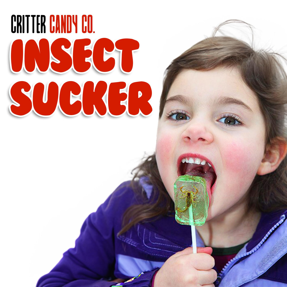 Jerky-n-Spice HotLix Insect Suckers (8-Pack) – Edible Bug Candy Lollipops