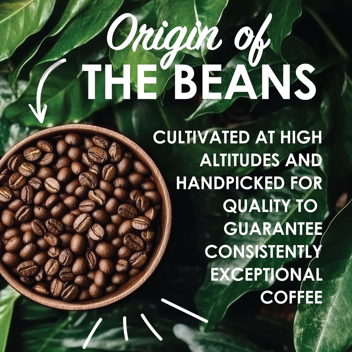 Magnum Exotics Blue Mountain Blend — Whole Bean Coffee, Medium-Light Roast, 2 lb