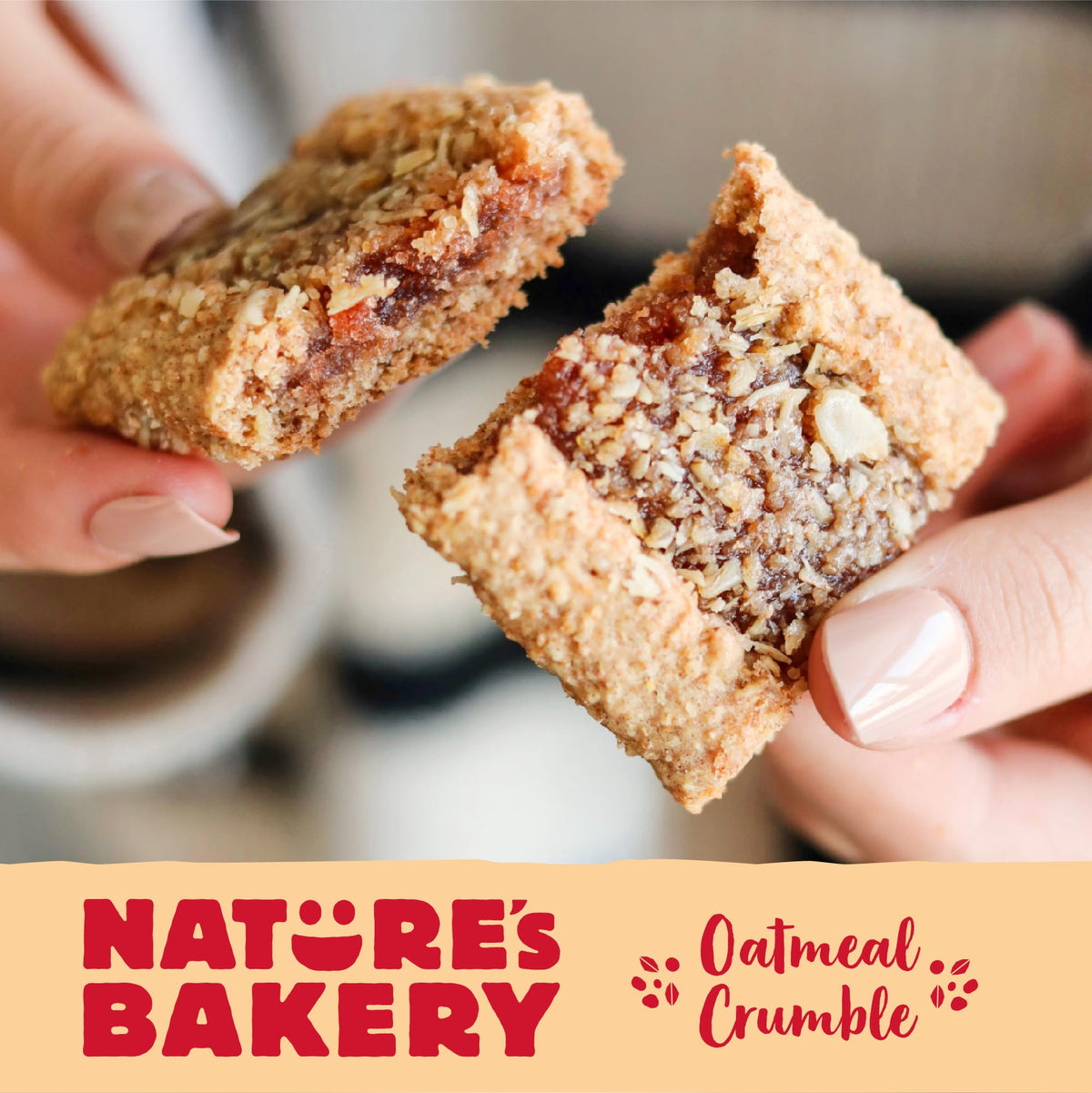 Nature's Bakery Oatmeal Crumble Bars – Strawberry, Real Fruit, Vegan & Non-GMO (36 Count)