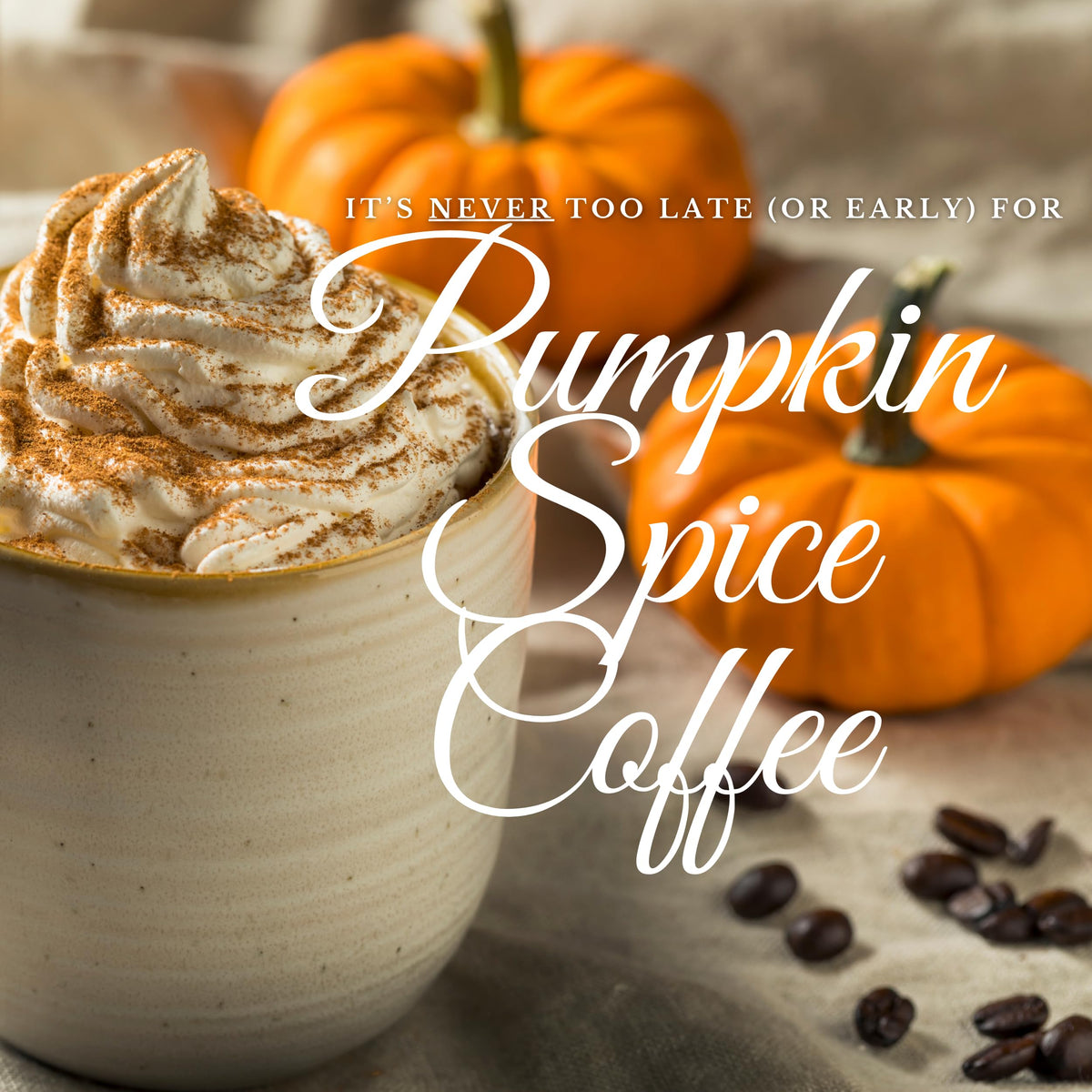 New England Coffee Pumpkin Spice Medium Roast Ground Coffee — 11oz Bag (Pack of 3)