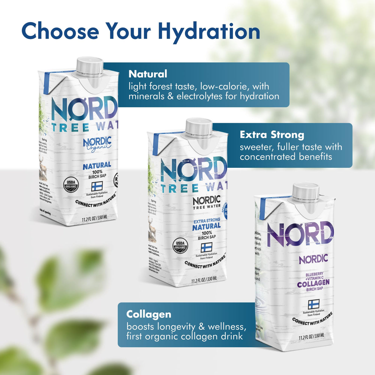 Nordic Tree Water Birch Sap – Regenerative Organic Certified, Electrolytes & Prebiotics (12-Pack)