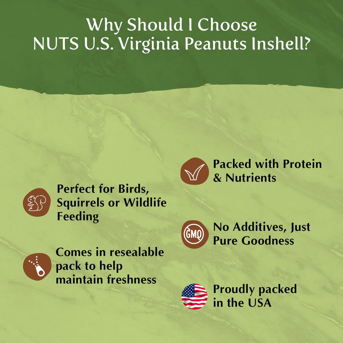 NUTS U.S. Peanuts In Shell – USA-Grown, Non-GMO Raw for Wildlife & Humans | 5 LBS