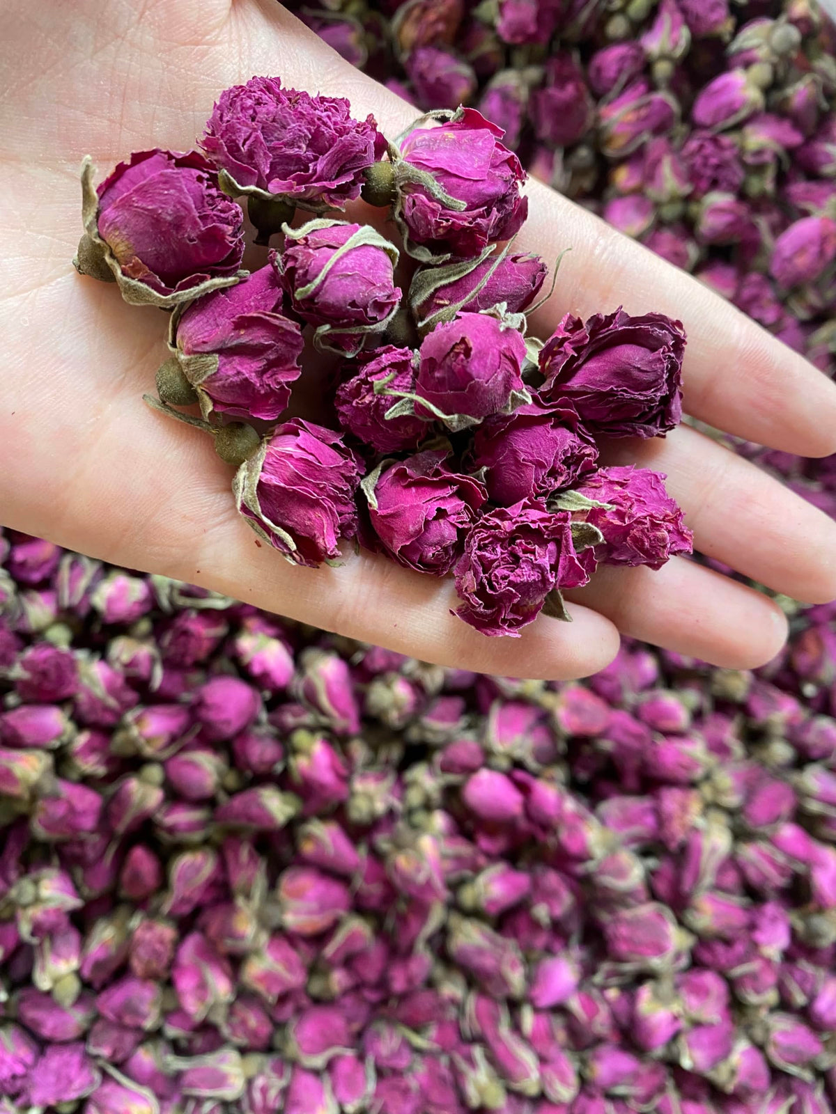 OneDove Dried Rose Petals & Buds – 1 lb Food Grade for Tea, Baking, Water Infusions, Essential Oils & Wedding Confetti