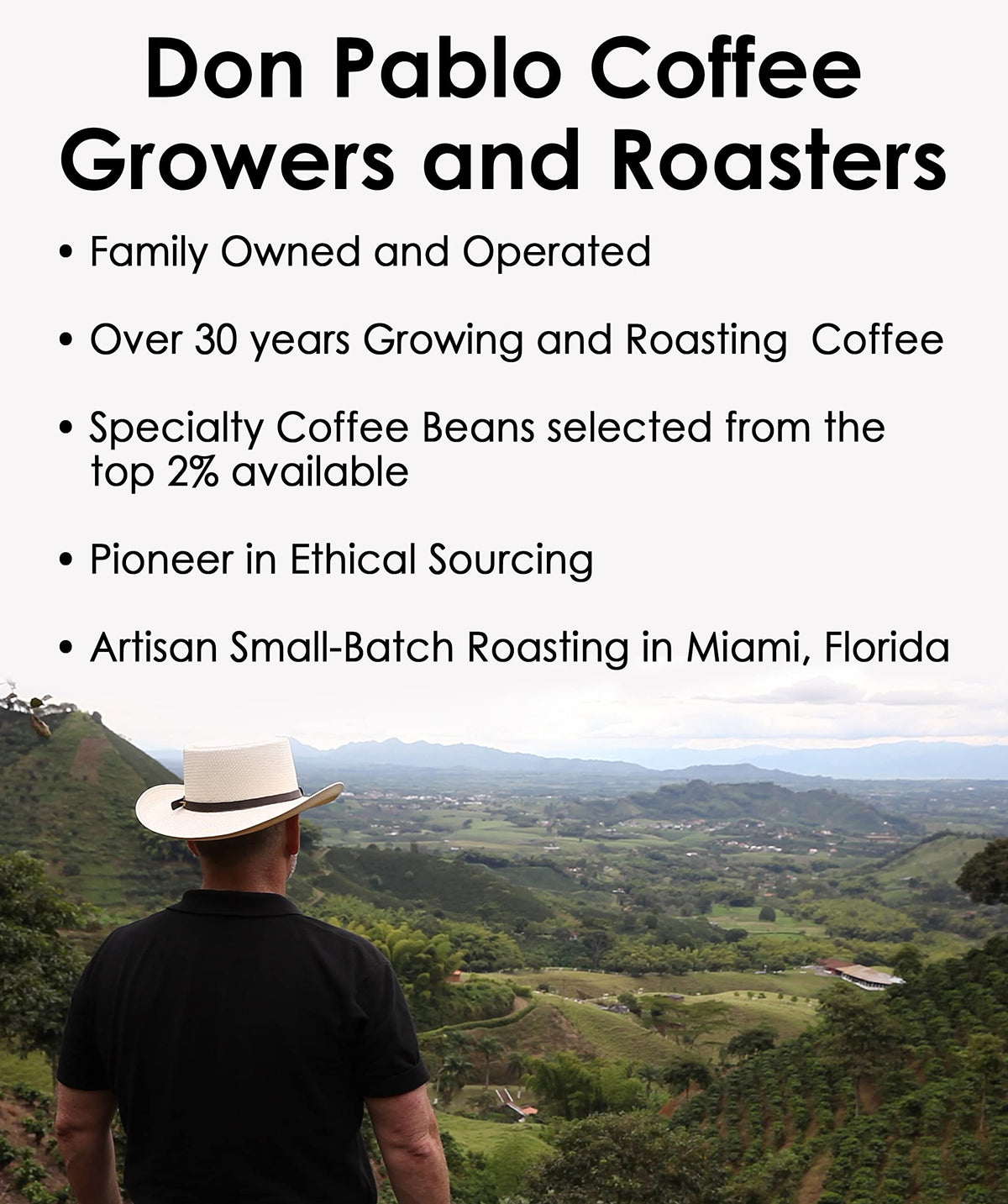 Pablo's Pride Guatemala 3 lb Whole Bean Coffee — Medium-Dark Roast, Low Acidity