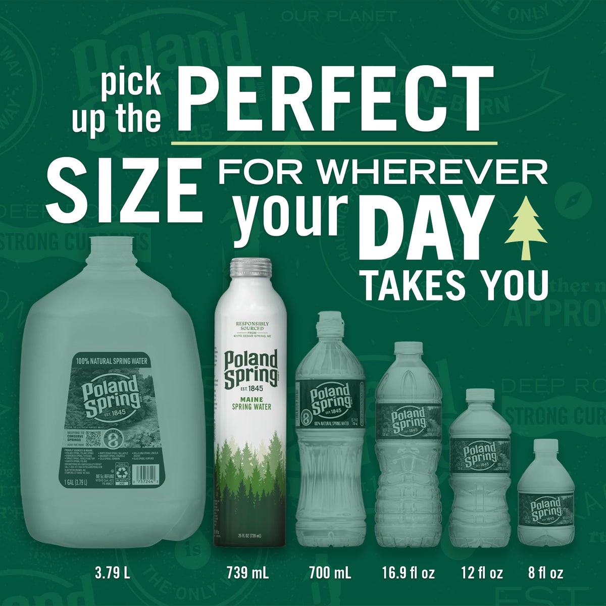 Poland Spring Maine Spring Water Aluminum Bottle – 25 oz Still Water with Naturally Occurring Minerals, 12 Pack