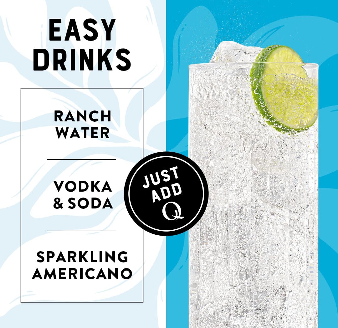 Q CLUB SODA by Q MIXERS – Himalayan Salt, No Sugar, Gluten-Free 7.5oz Cans (Pack of 24)