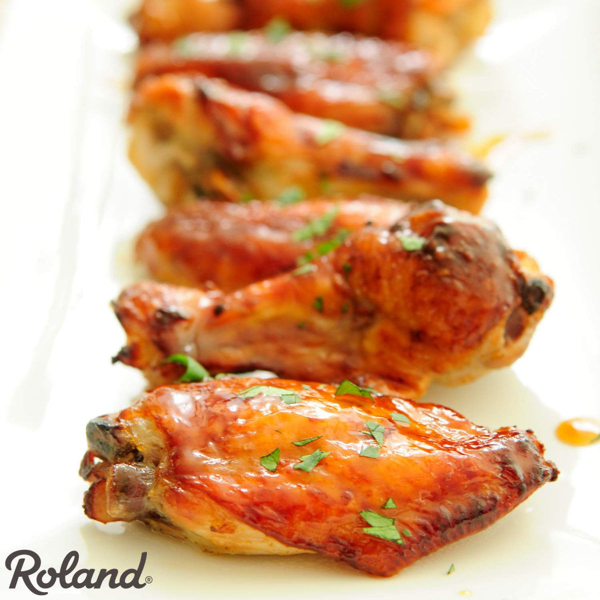 Roland Foods Fusion Solutions Honey Garlic Sauce — 9 lb 11 oz, Imported Specialty Sauce