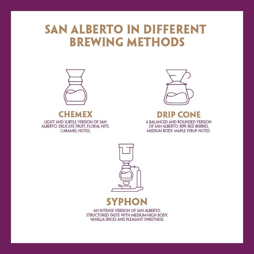 San Alberto Colombian Dark Roast Whole Bean – 100% Arabica | Single Origin