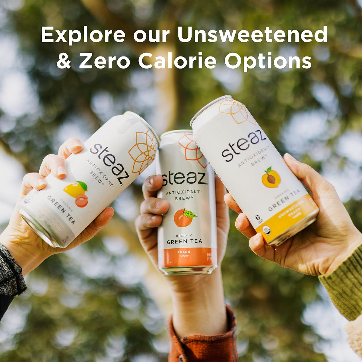 Steaz Organic Green Tea - Blueberry Pomegranate (12 Pack) | Antioxidant Brew, 65 mg Caffeine, 90 Calories, Vitamin C, Vegan