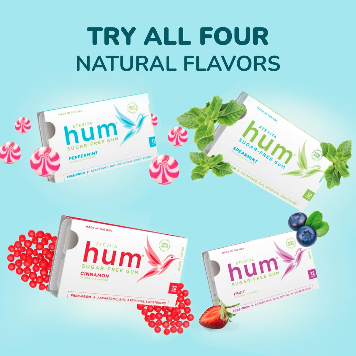 Stevita Hum Fruit Sugar-Free Gum – 72 Servings, 12-Pack (12 x 12), Non-GMO, Vegetarian, Keto, Gluten Free