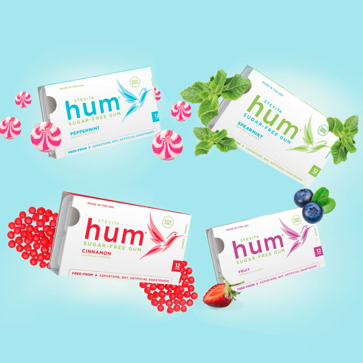Stevita Hum Variety Pack — 12 Sugar-Free Gum Pack (Peppermint, Cinnamon, Spearmint & Fruit) | Non-GMO, Keto, Gluten Free