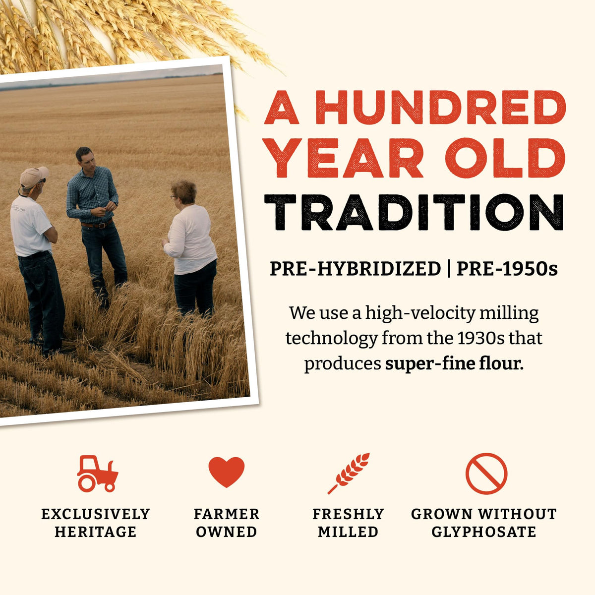 Sunrise Flour Mill Heritage Organic White Flour – Unbleached All-Purpose, High-Protein, Glyphosate-Free (USDA Organic)