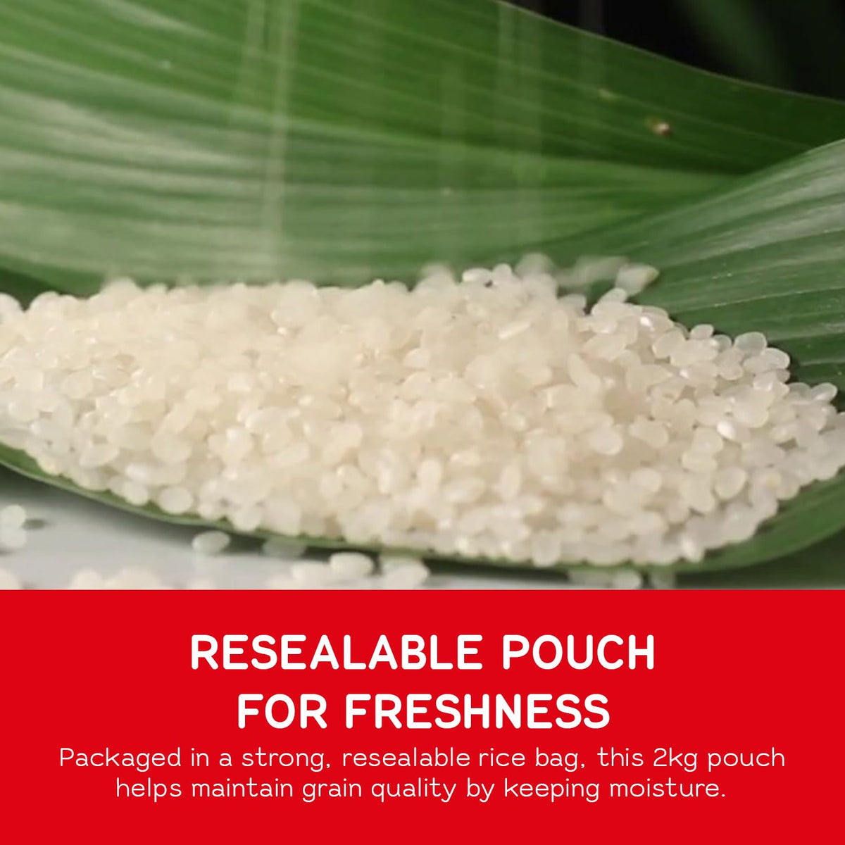 Tamaki Haiga Shortgrain Rice 2kg Premium Japanese-Style Rice