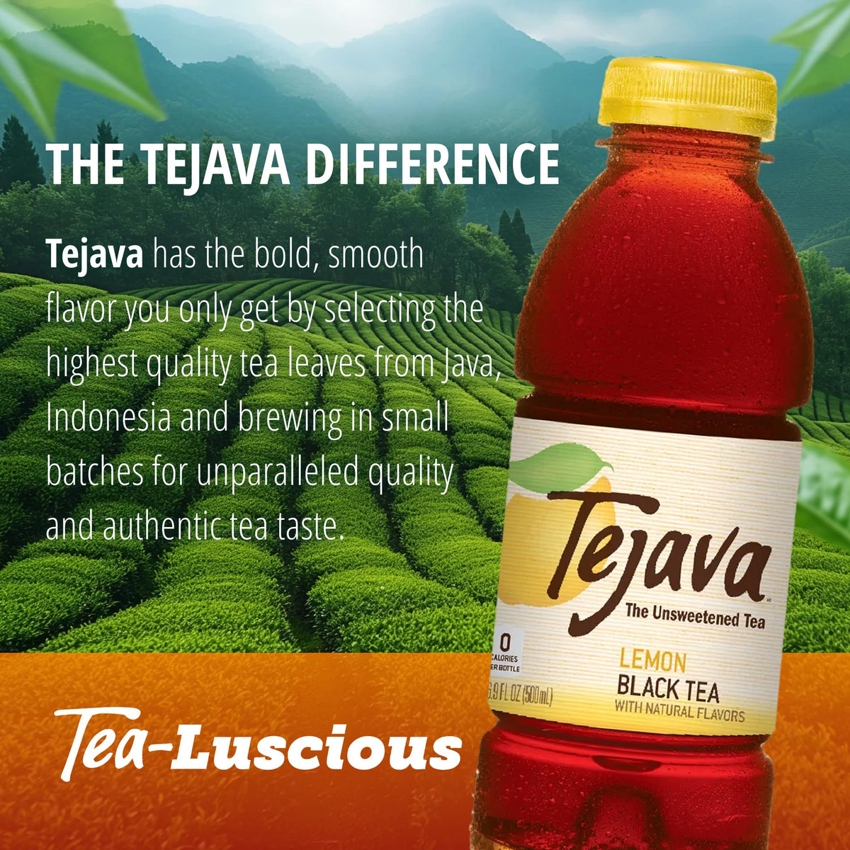 Tejava Lemon Black Tea - 12-Pack, 16.9 oz Bottles, Unsweetened, Non-GMO, Kosher