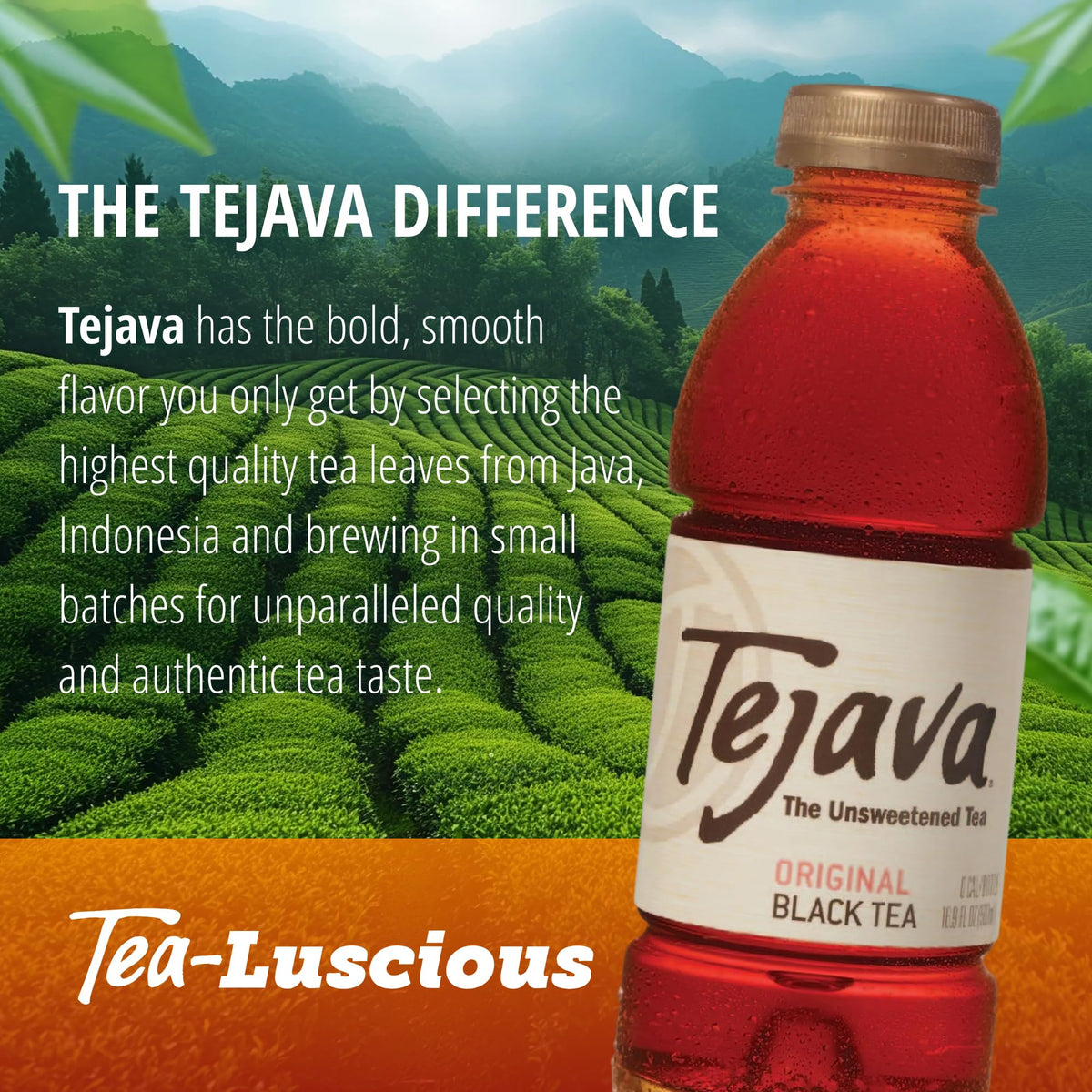 Tejava Original Black Tea – Unsweetened, 12-Pack 16.9oz Bottles