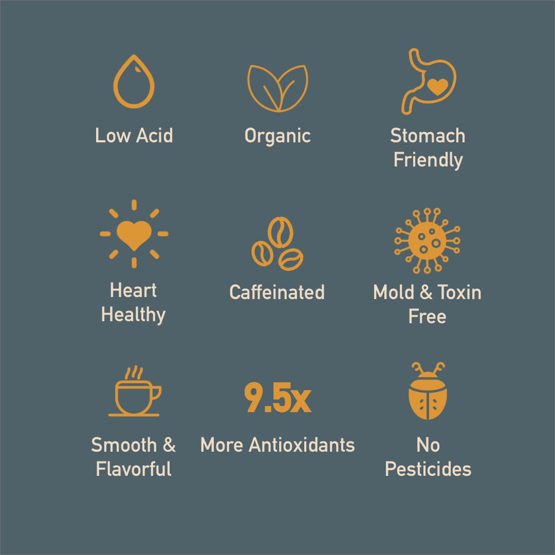 Thompson's Healthy Bean Thrive Morning Blend – Organic Low-Acid Ground Coffee, Medium Roast, 11oz