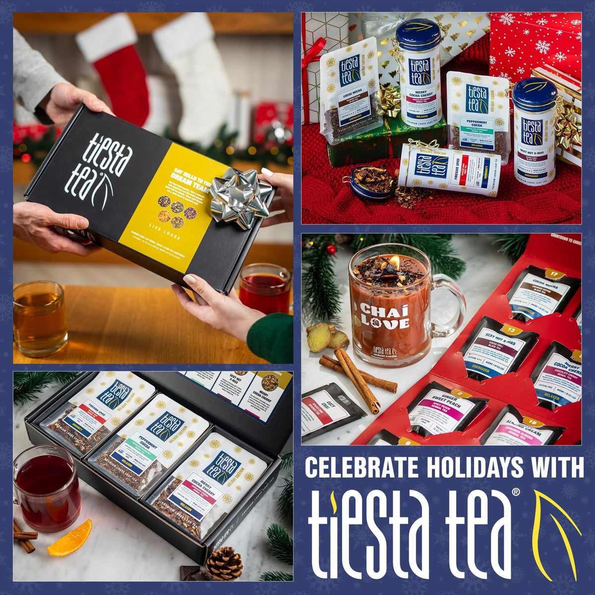 Tiesta Tea Cold Brew Variety Pack – 20-Pack Premium Loose Leaf Blends