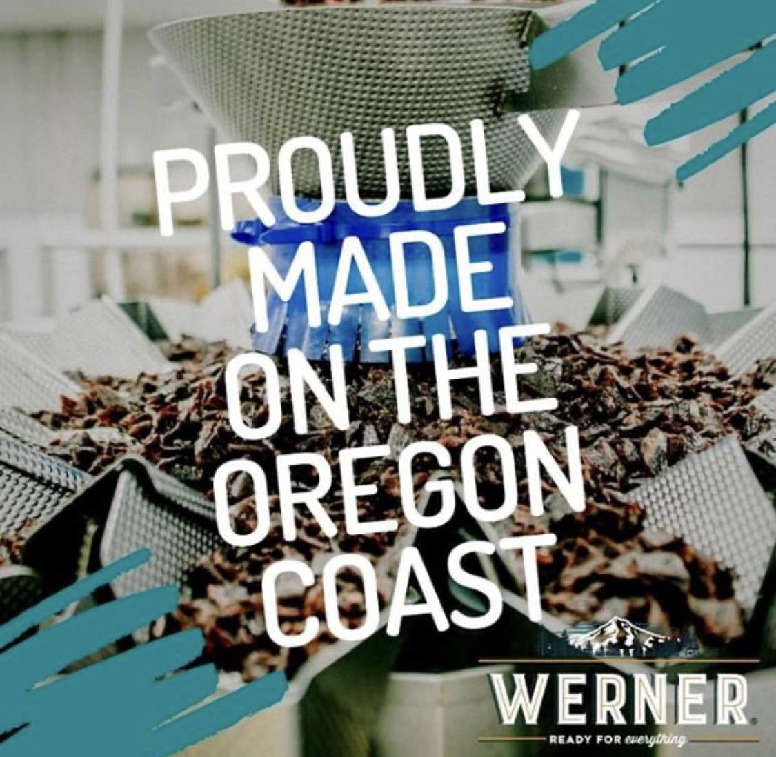 Werner Tender Strips Teriyaki Beef Jerky – 25 Strips, Made in USA