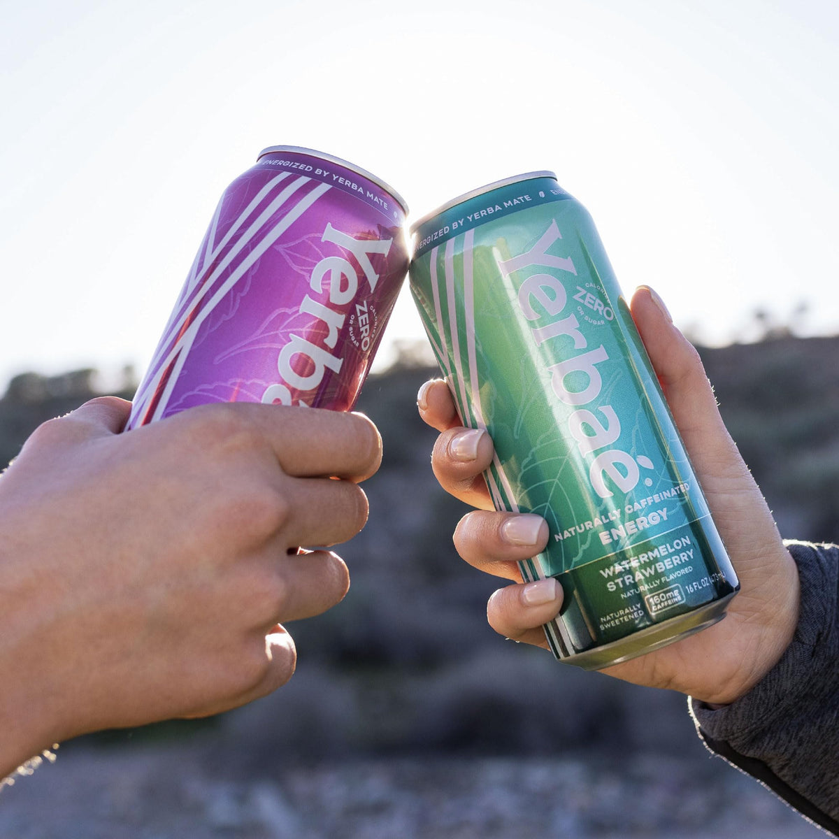 Yerbaé Assorted Flavors – Plant-Based Energy Drinks | Zero Sugar, Zero Calories, Zero Carbs | 16 Fl Oz (Pack of 12)