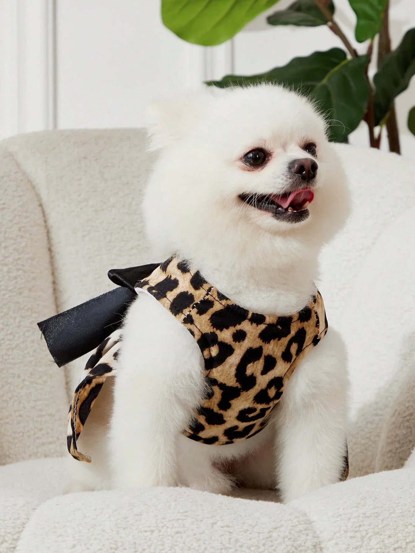 PETSIN Leopard Print Pet Set