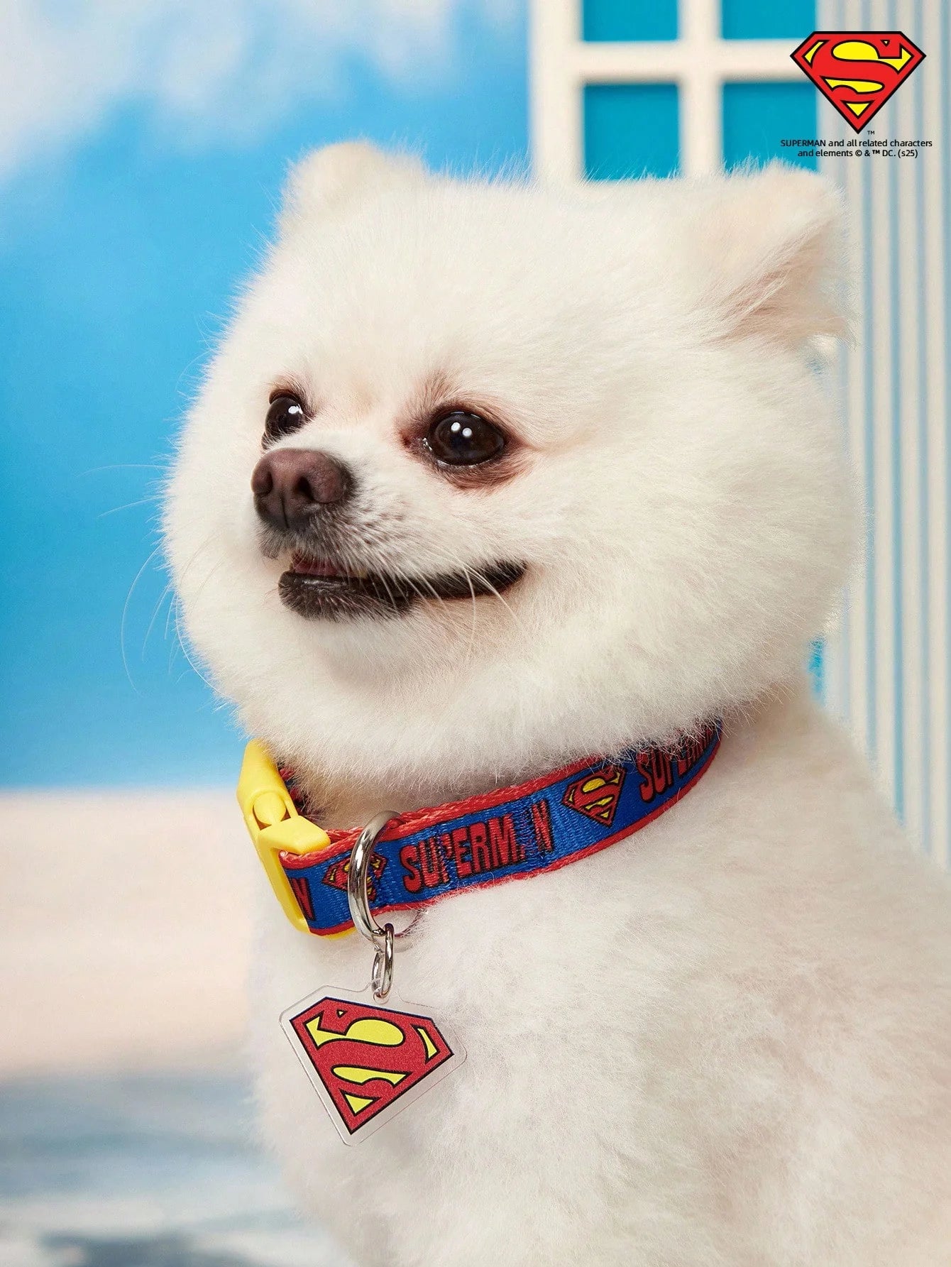 SUPERMAN PETSIN Dog Collar