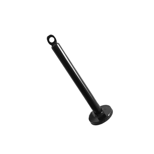 Fitness Loading Pin Cable Pulley Systems Weight Plates Barbell Plate Support Frame Freeweight Rod Loading Pin Equipment