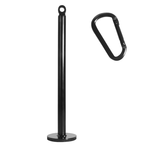 Loading Pin for Weight Plates: Weight Loading Pin with Carabiner Fit 1 inch Olympic Weight Plate for Cable Pulley LAT Pulldown - color: 1in Weight Loading Pin