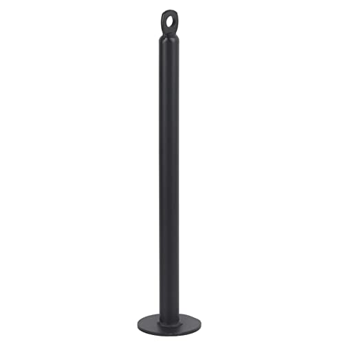 EVGATSAUTO Loading Pin, Stainless Steel Weight Plate Holder Grip Training Tool, 20mm or 48mm Tube Diameter, Bottom Support Frame for Forearm Work Home Gym Strength Training - size: 20 diameter*320mm