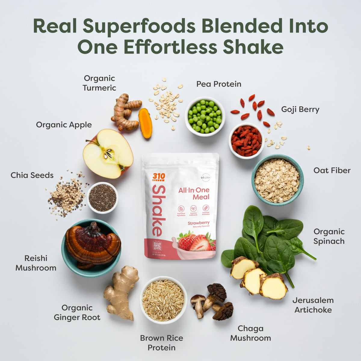 310 Nutrition All-In-One Plant-Based Meal Replacement Shake – Strawberry, 14 Servings