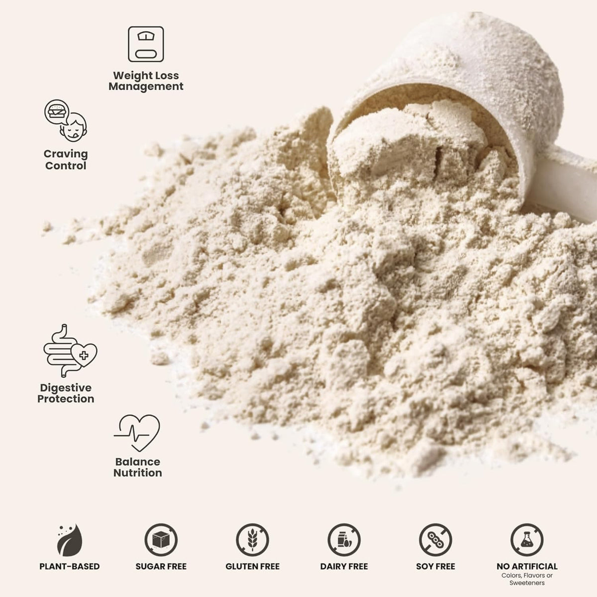 310 Nutrition All-In-One Mocha Shake Powder – Plant-Based Meal Replacement