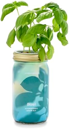 Modern Sprout Mason Garden Jar - Self-Watering Hydroponics Growing System Kit with Organic Herb Seeds - Jar Planter for Indoor Herb Garden - Seed Starter Kit - Home Decor & Gifting - Basil
