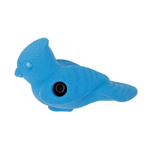 Atomik Rock Climbing Holds Blue Jay in Blue