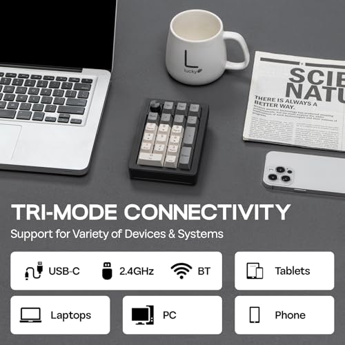 EPOMAKER EK21 VIA Gasket Number Pad w/ 1000mAh Battery, BT 5.0/2.4GHz/Wired | Hot-Swap Numpad with Aluminum Alloy knob, Programmable for Win/Mac/Gaming (Black Silver, Wisteria V2 Switch) - color: Black Silver, size: Wisteria V2 Switch