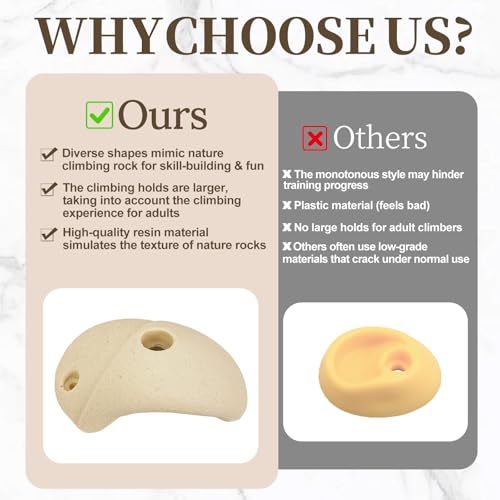 Premium Resin Rock Climbing Holds for All Ages, Large Training Rock Climbing Wall Grips Indoor/Outdoor, Rock-Like Texture Climbing Wall with Mounting Hardware - color: 10 Pcs